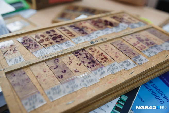 Источник: Максим Серков / NGS42.RU