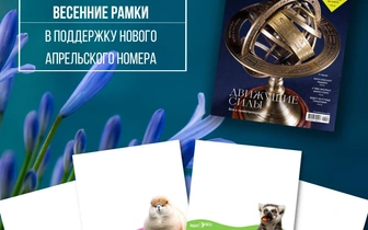 «Вокруг Света» запустил весенние рамки в «Одноклассниках»