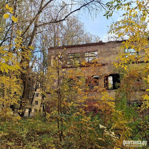 Источник: Анна Мотовилова / «Фонтанка.ру»