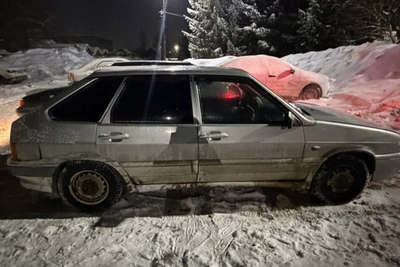 В Чувашии задержан подозреваемый в краже перин у пенсионера