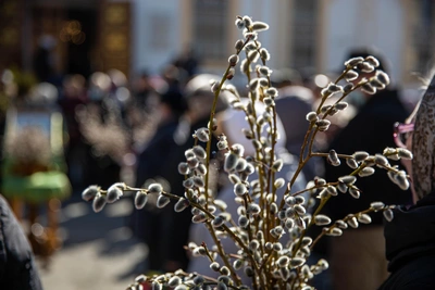 Погода 18 апреля на Ставрополье: заморозки и перепады