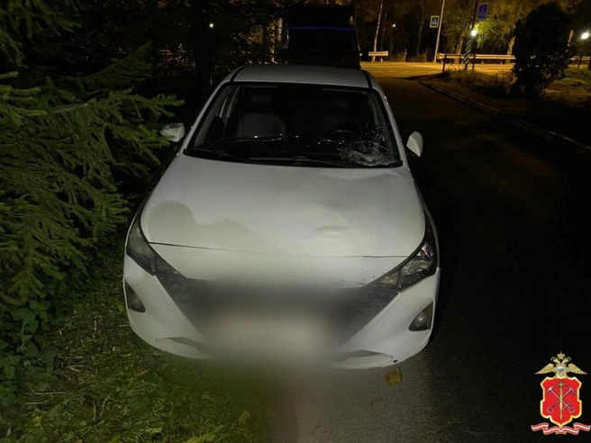 Источник: ГУ МВД по Петербургу и Ленобласти