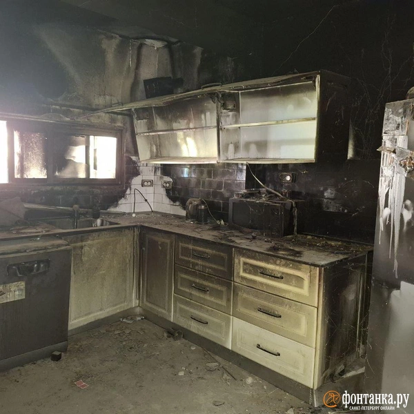 Источник: Ирина Багликова / «Фонтанка.ру»