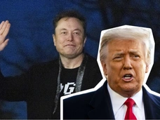 Маск — сумасшедший, Трамп — неблагодарный: миллиардер и президент США выясняют отношения на глазах у всего мира