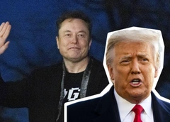 Маск — сумасшедший, Трамп — неблагодарный: миллиардер и президент США выясняют отношения на глазах у всего мира