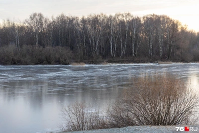 Потепление в Центральной России: прогноз на неделю