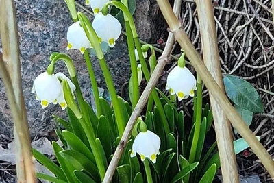 В Петербурге побит температурный рекорд 2004 года