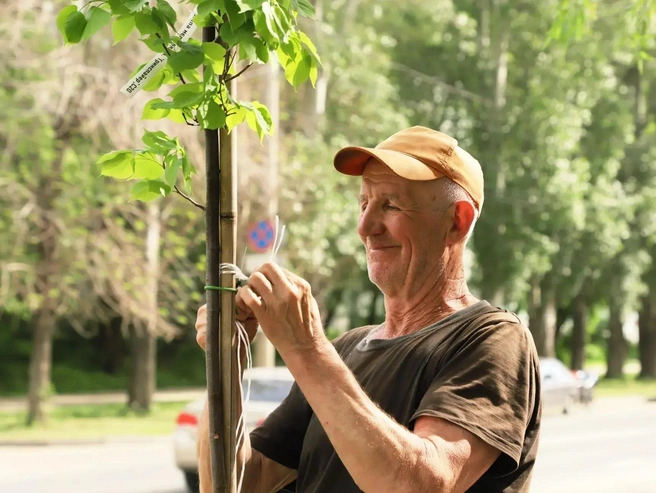 В основе нового курса озеленения города лежит комплексный подход | Источник: пресс-служба администрации Самары