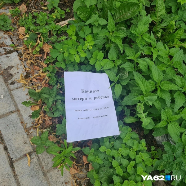 Кто-то сорвал табличку с расписанием | Источник: Светлана Коновалова / YA62.RU
