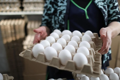 На Ставрополье подорожали яблоки и куриные яйца