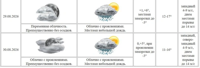 Источник: скрин с сайта Курганского ЦГМС