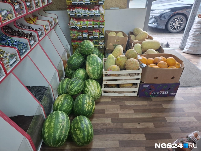 Дыни продаются дороже арбузов | Источник: Татьяна Зарва / NGS24.RU