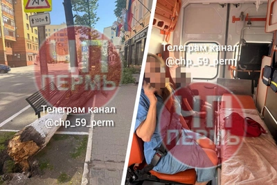 Пермь: липа упала на женщину с ребенком — Минздрав о состоянии