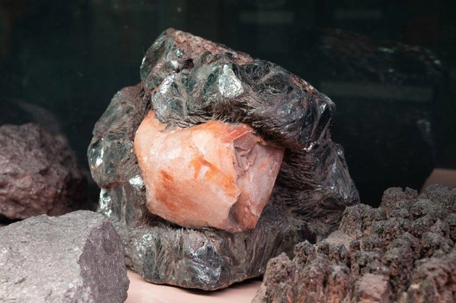 Один из экспонатов геологической учебной коллекции | Источник: museumperm.ru