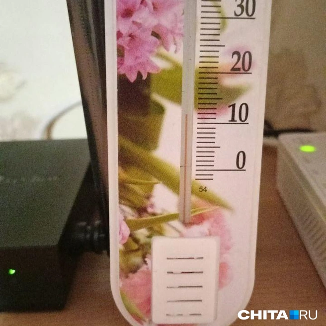 Фото градусника из квартиры | Источник: очевидец