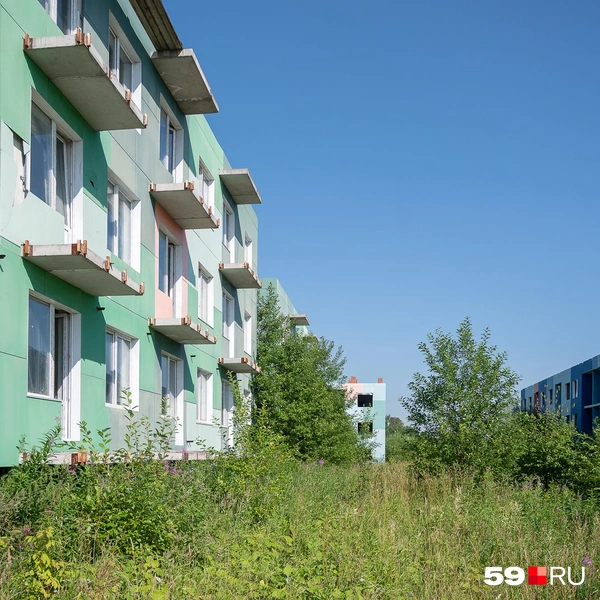 Источник: Василина Любимова / 59.RU