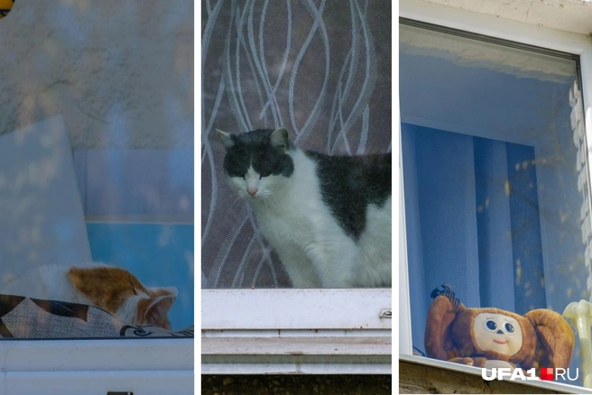 Как в одноименном шоу с Нагиевым | Источник: Булат Салихов / UFA1.RU