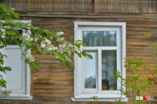 Источник: Иван Митюшёв