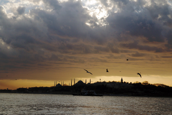 Босфорский экспресс: как влюбиться в Стамбул за день, обойдя стороной (почти) все его главные достопримечательности