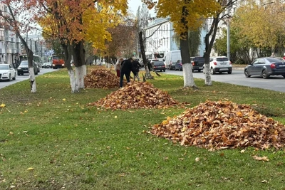 Во Владимире начался общегородской осенний субботник