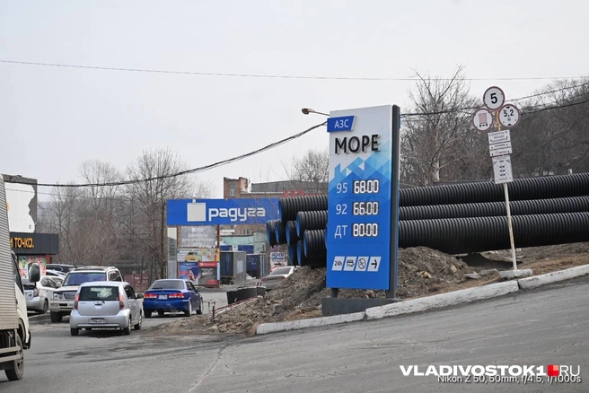 Источник: Елена Буйвол / VLADIVOSTOK1.RU
