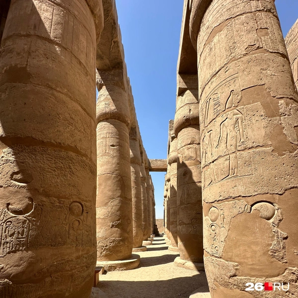 Источник: Габриелла Захарова / 26.RU