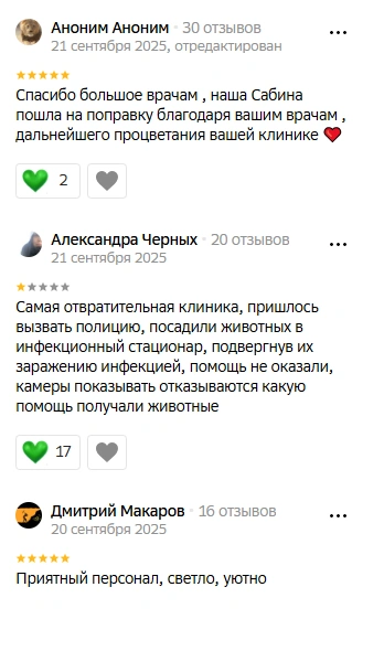 Источник: «Ветполис» / 2ГИС