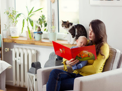 5 книг о котиках для самых маленьких