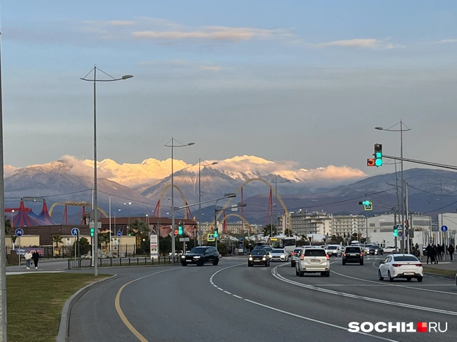 Комплексы заработают с 10 июня | Источник: Анна Грицевич / SOCHI1.RU
