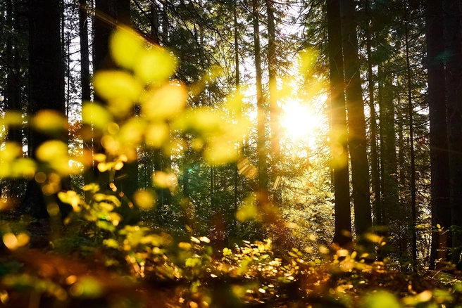 Источник: Фотограф Ирина Лаптева Ханты-Мансийск / Vk.com