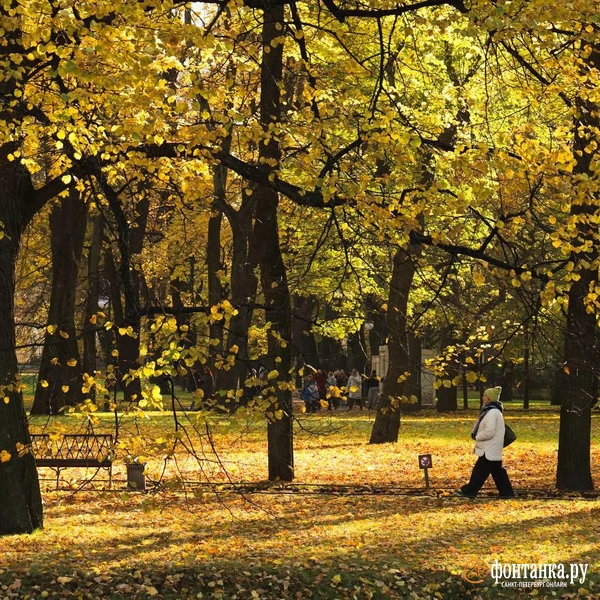 Источник: Марина Мамонтова / FONTANKA.RU