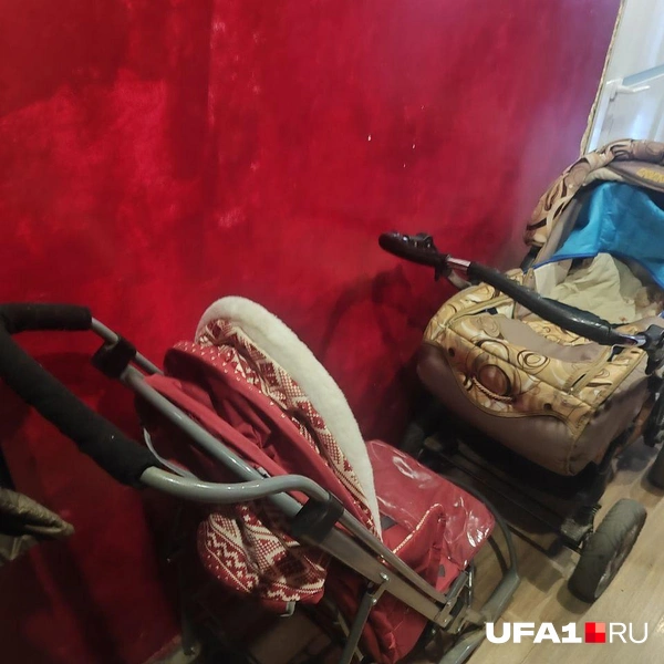 Источник: Марина Каримова / UFA1.RU