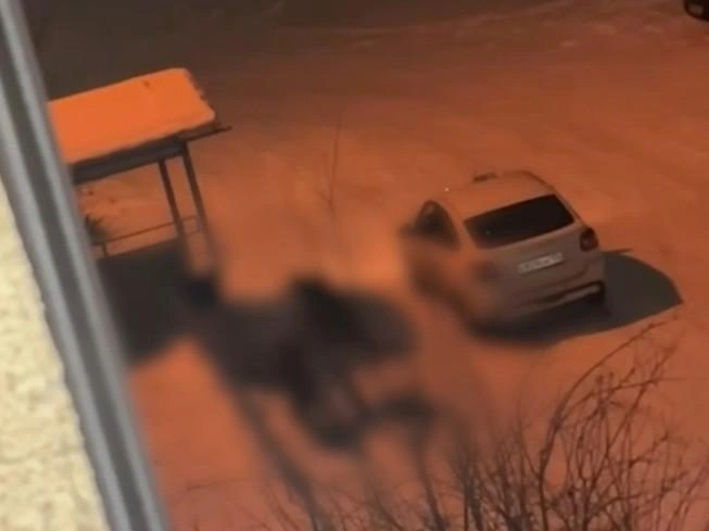 Видео с инцидентом было опубликовано в социальных сетях 12 февраля. | Источник: скриншот из видео «Новое Время Михайловка» / t.me