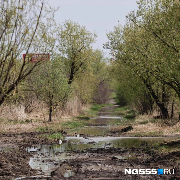 Иначе попадешь в «плавающие рощи» | Источник: Евгений Софийчук / NGS55.RU