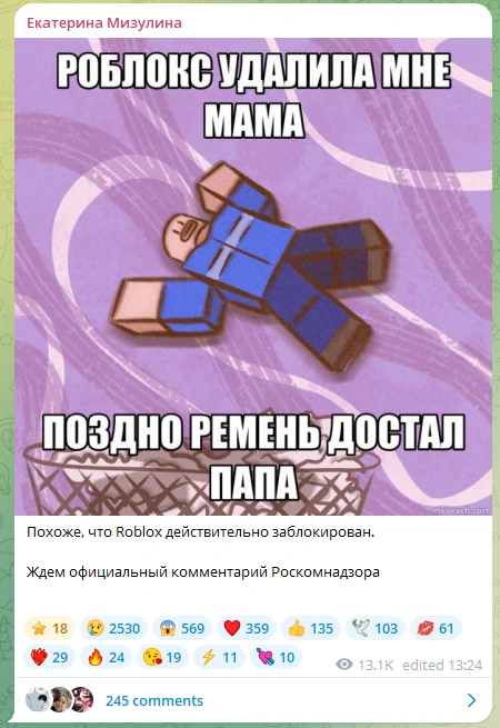 Такую картинку опубликовала глава Лиги безопасного интернета | Источник: Екатерина Мизулина / T.me