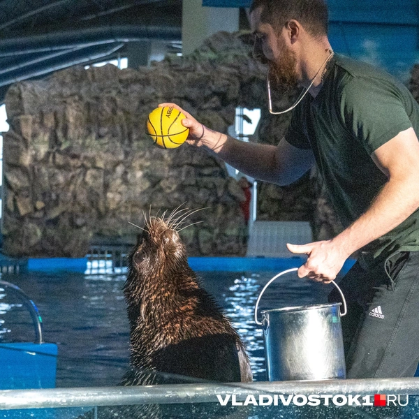 Источник: Елена Буйвол / VLADIVOSTOK1.RU