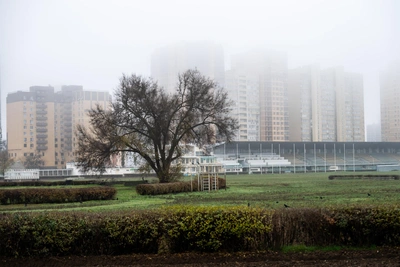 Прокуратура настаивает на статусе памятника для Ростовского ипподрома