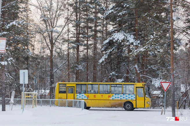 Возле остановок школьных автобусов местные жители просят установить «лежачих полицейских», чтобы сдерживать скорость потока проезжающих мимо машин | Источник: Ирина Шарова / 72.RU