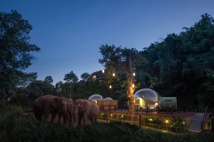 Отель-"пузырь" в джунглях Таиланда (фото 2)