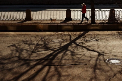 Петербург готовится к жаркой субботе