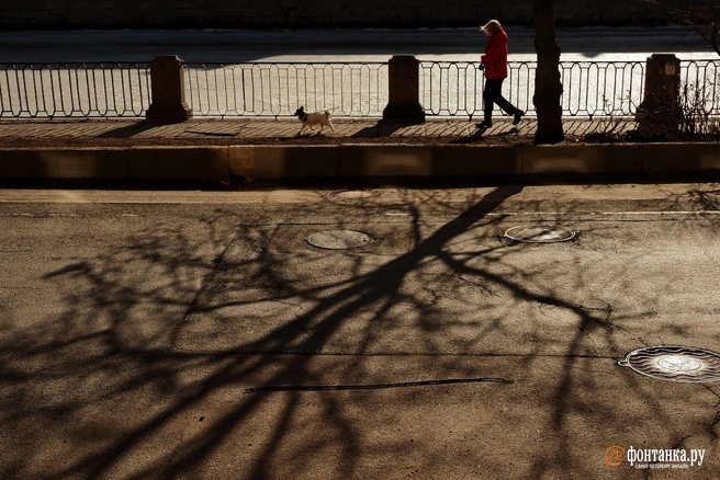 Как в конце апреля. Петербург готовится к жаркой субботе