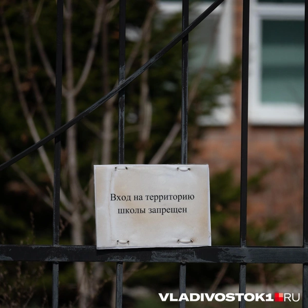 Источник: Елена Буйвол / VLADIVOSTOK1.RU