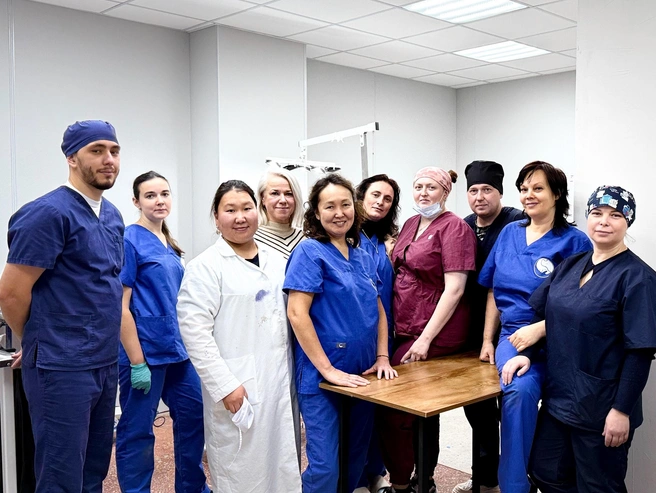 В этом году операционные дни прошли в Ульяновске | Источник: КОШКИН ДОМ&nbsp;— помощь бездомным кошкам Ульяновска / «ВКонтакте»