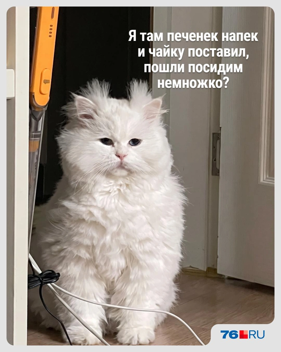Заманчивое предложение | Источник: Городские медиа