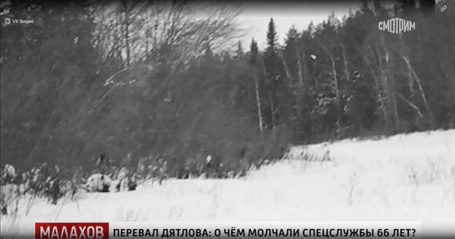 Фото № 4 | Источник: кадр из программы «МАЛАХОВ» / телеканал «Россия»; Starhit.ru