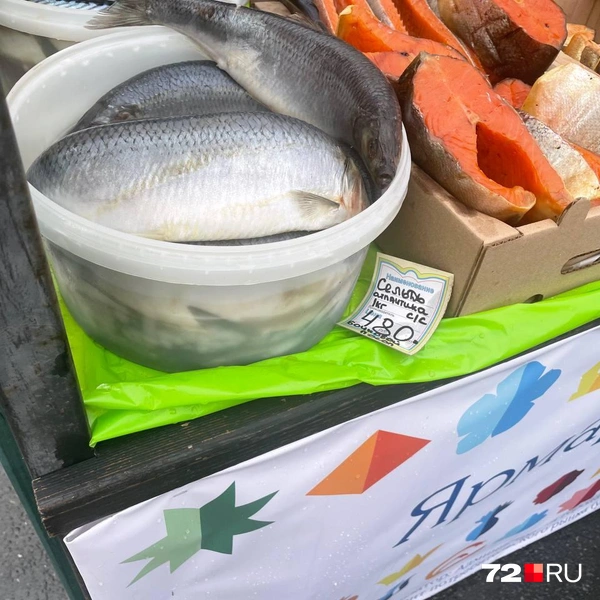 Источник: Радик Енчу / 72.RU