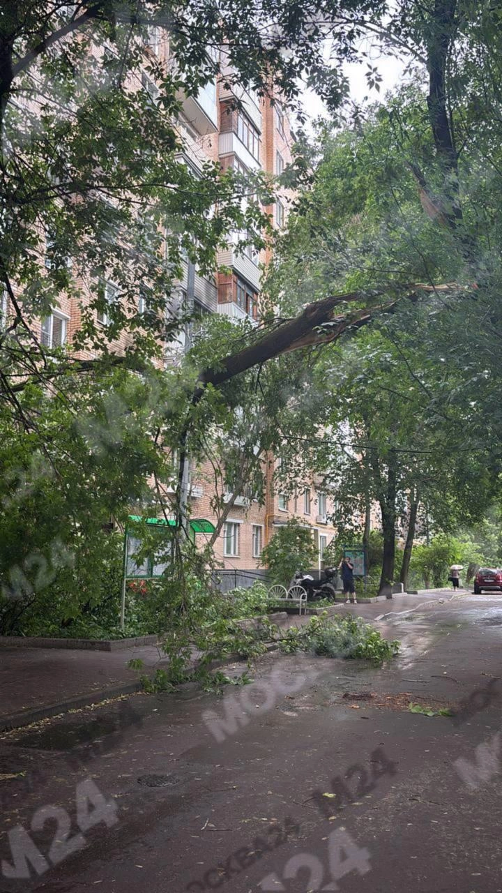 Источник: Москва 24 / T.me