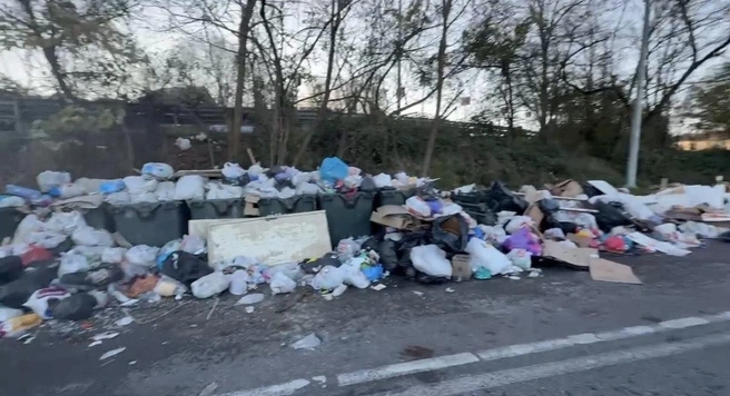 Свалка на контейнерной площадке даже не помещается в кадр | Источник: ytoml_sochi/t.me