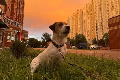 Москву накрыл потрясающий закат с радугой после ливня