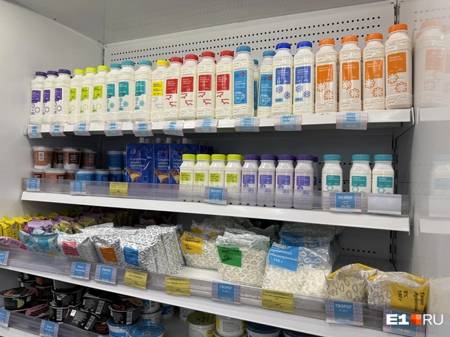 Молоко, йогурты и творог, которые сейчас продаются в магазинах, полностью безопасны | Источник: Ирина Шутько / E1.RU